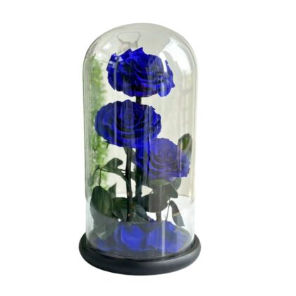 Three Blue Forever Rose Gift Box | Preserved Roses by Trandy Flowers