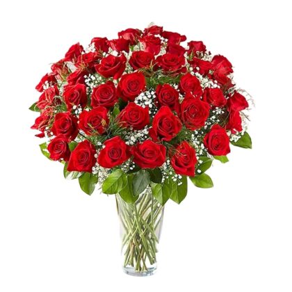 Bunch of 50 Scarlet Red Roses – Luxury Red Rose Bouquet for Love & Romance