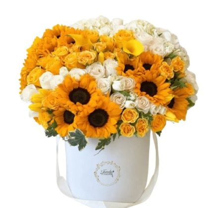 Box Full of Sunshine edits with Logo