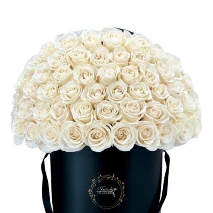 Moonlit Elegance Box