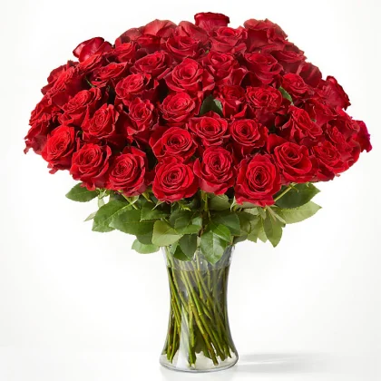 Ruby Bloom 2 Dozen