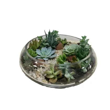 Desert Jewels