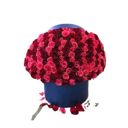 Crimson and Fuchsia Roses Box
