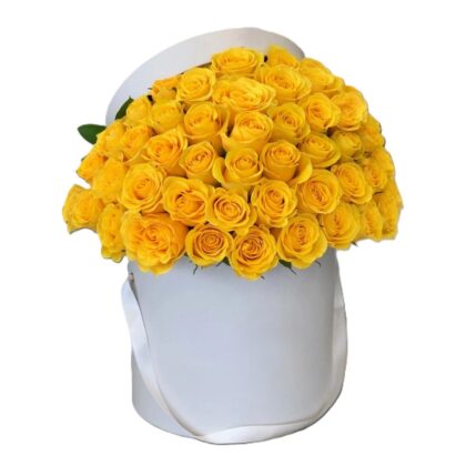 The Golden Crown Box