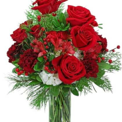 Traditional Christmas Cheer