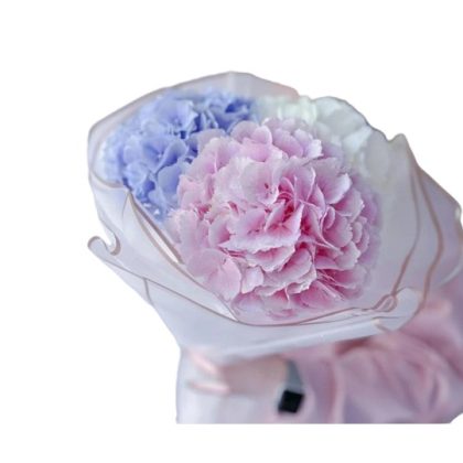 Bouquet Of Colorful Hydrangeas