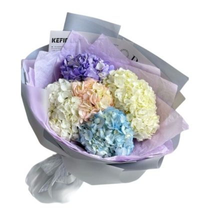 Favorite Hydrangeas