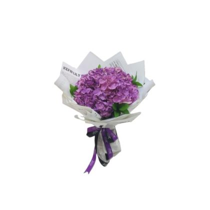 Hydrangea Chic