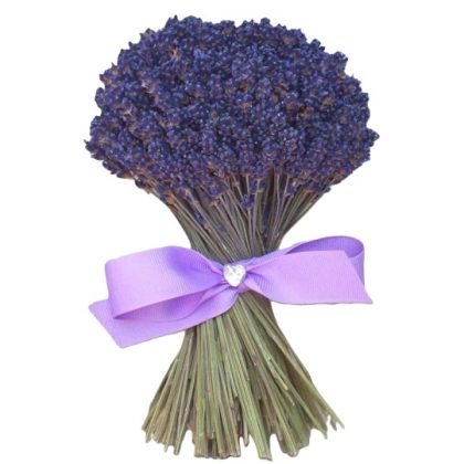 Lavender Slumber