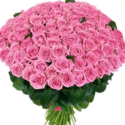 Pink Majesty 101 Roses