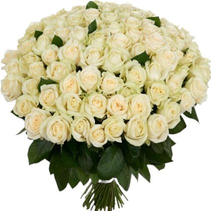 White Majesty 101 Roses Bouquet
