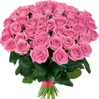 Pink Majesty 50 Roses Bouquet